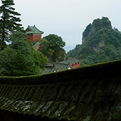 䵱 